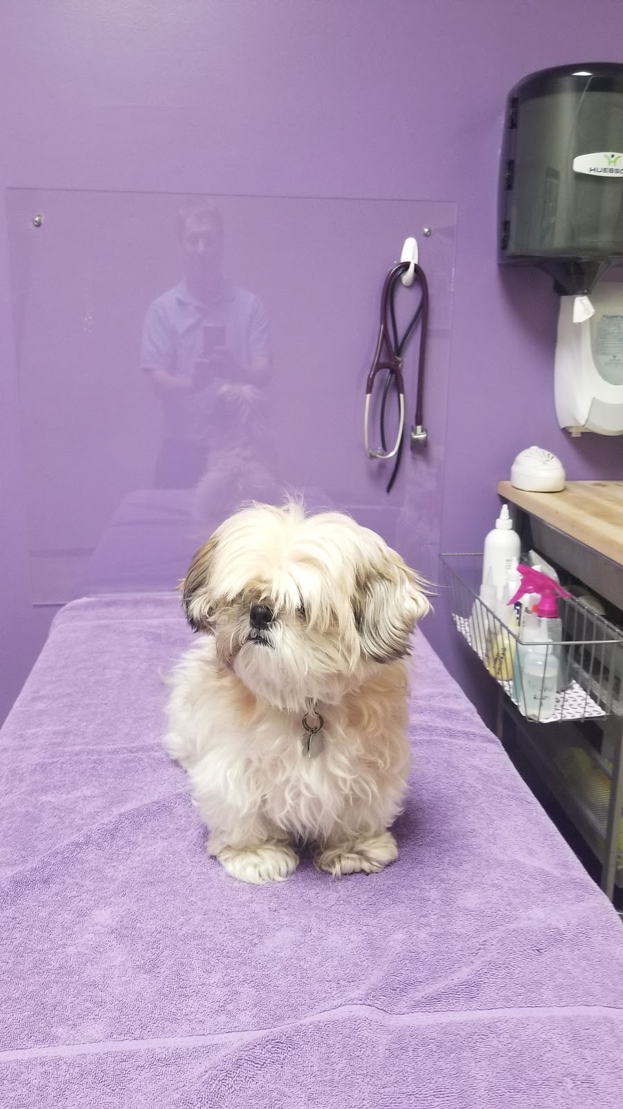 Blackberry Veterinary Center | 6555 Cahill Ave #104, Inver Grove Heights, MN 55076, USA | Phone: (651) 552-9101