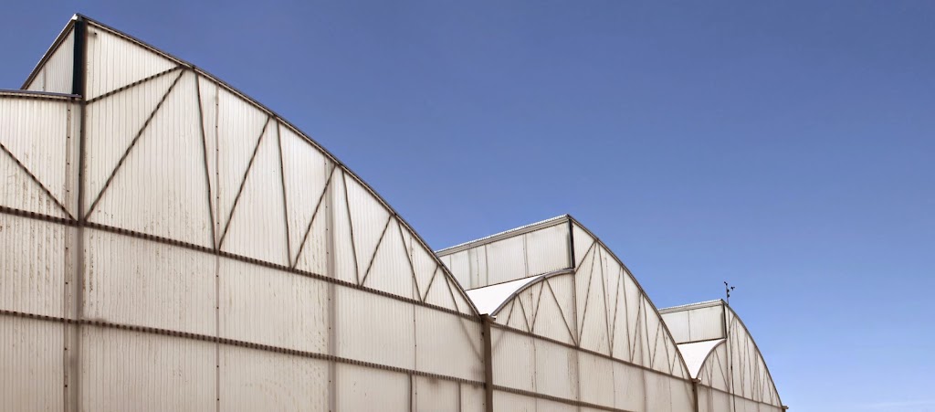 Arizona Microgreens | 3146 E Wier Ave, Phoenix, AZ 85040, USA | Phone: (602) 459-0984 Arizona Microgreens | 3146 E Wier Ave, Phoenix, AZ 85040, USA | Phone: (602) 459-0984