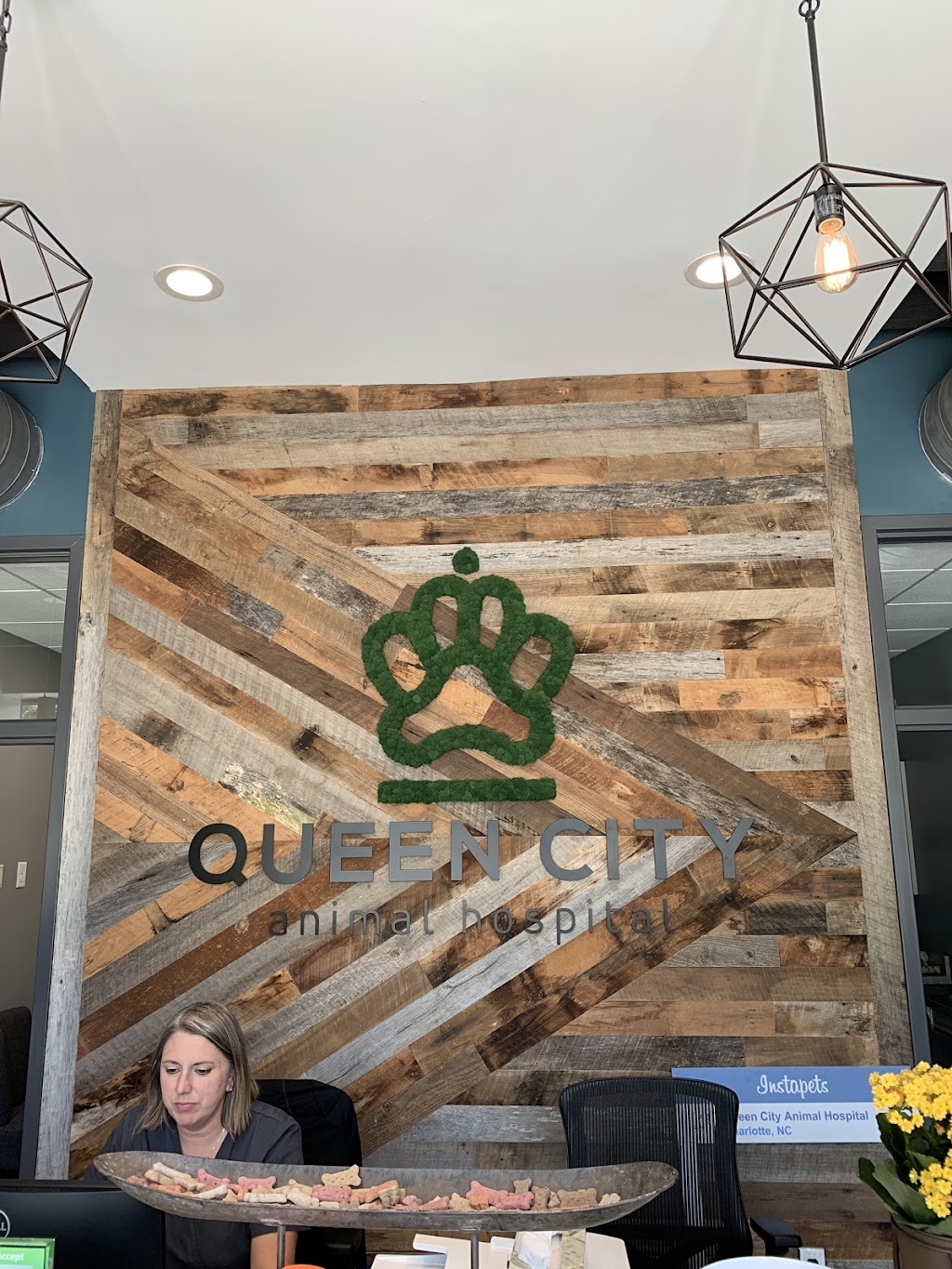 Queen City Animal Hospital | 920 Belmont Ave, Charlotte, NC 28205, USA | Phone: (704) 703-1414