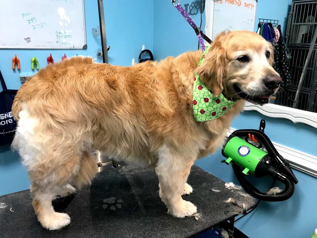 Lucky Pups Pet Wash | 3916 Portsmouth Blvd, Chesapeake, VA 23321, USA | Phone: (757) 392-3550