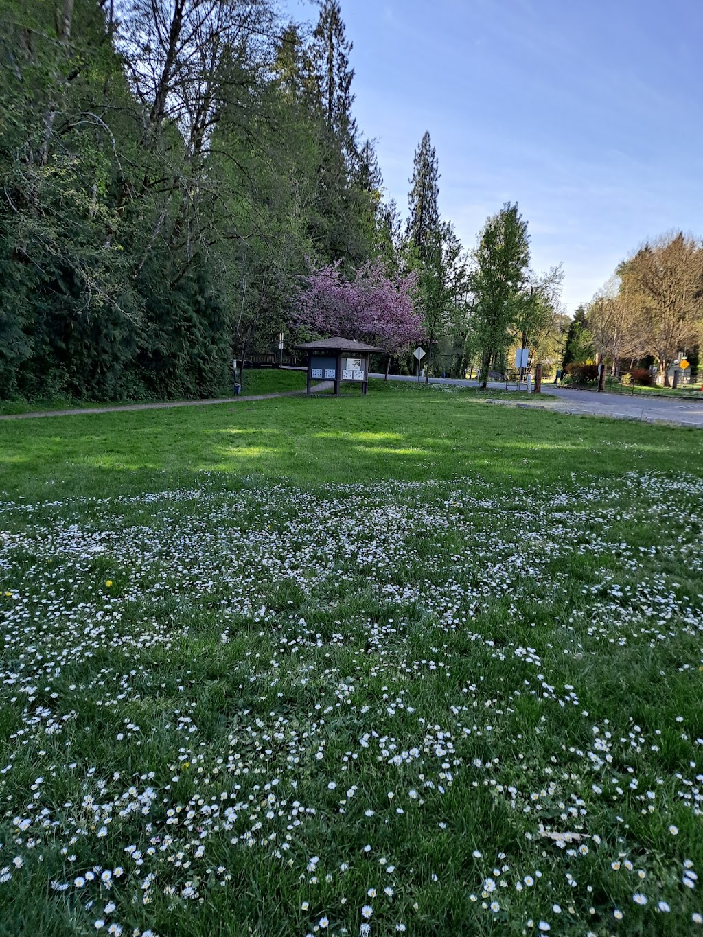 Abrams Park | 400 Abrams Park Rd, Ridgefield, WA 98642, USA | Phone: (360) 887-3557