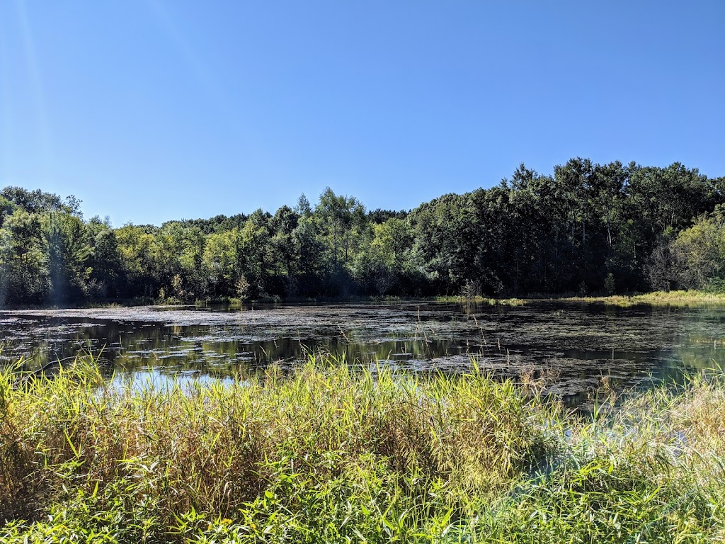 Pine Point Regional Park | 11900 Norell Ave N, Stillwater, MN 55028 | Phone: (651) 430-8370