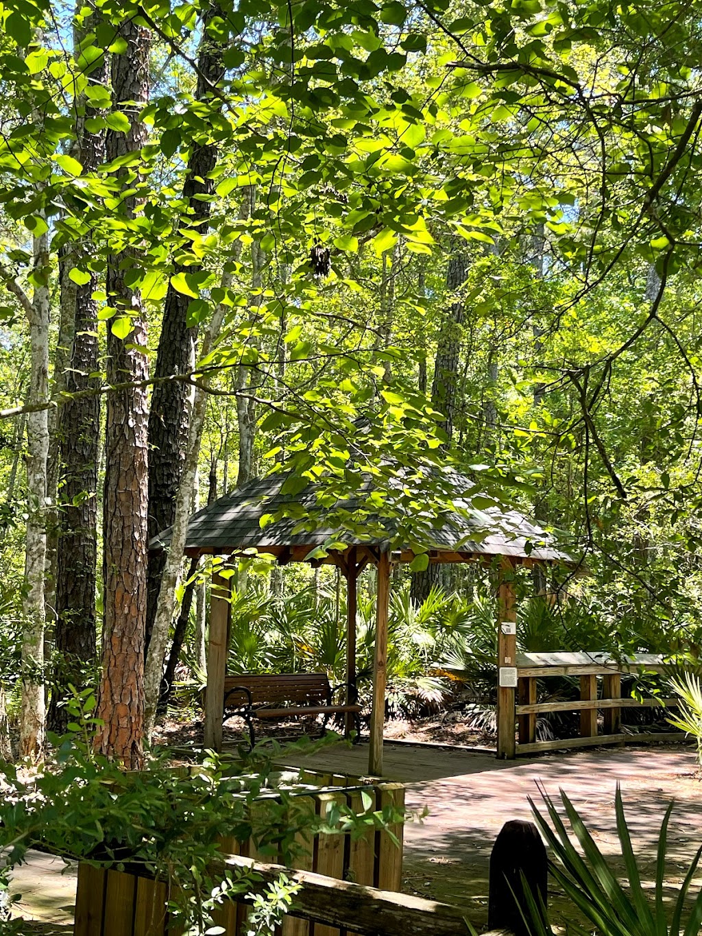 University Of North Florida Nature Trails | Recreation and Wellness, 1 UNF Dr. Bldg 61, Rm 1200, Jacksonville, FL 32224, USA | Phone: (904) 620-4769