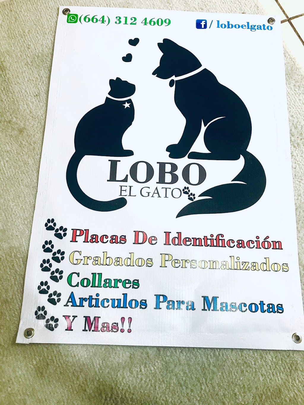 Lobo placas para mascotas | Sierra de Juárez 7213, Camino Verde, 22190 Tijuana, B.C., Mexico | Phone: 664 312 4609