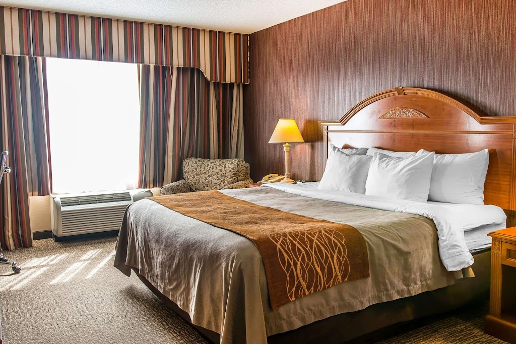 Comfort Inn | 1645 Commerce Park Dr, Chelsea, MI 48118, USA | Phone: (734) 433-8000