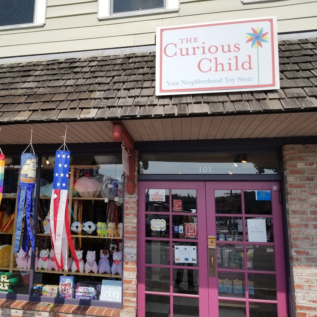 The Curious Child | 18800 Front St NE Suite 101, Poulsbo, WA 98370, USA | Phone: (360) 930-8519