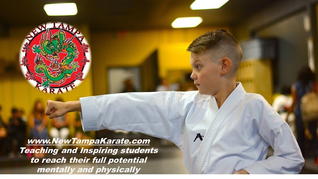 New Tampa Karate | 10012 Cross Creek Blvd, Tampa, FL 33647, USA | Phone: (813) 994-7809