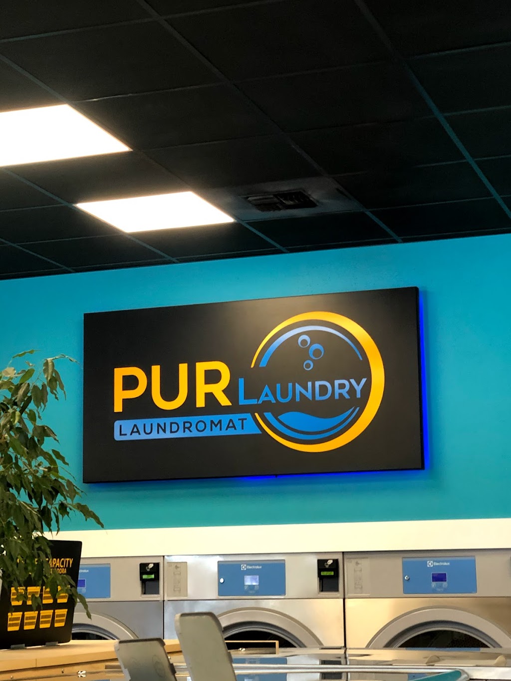 PUR Laundry Laundromat | 3100 Kitsap Way Suite C, Bremerton, WA 98312, USA | Phone: (360) 627-9749