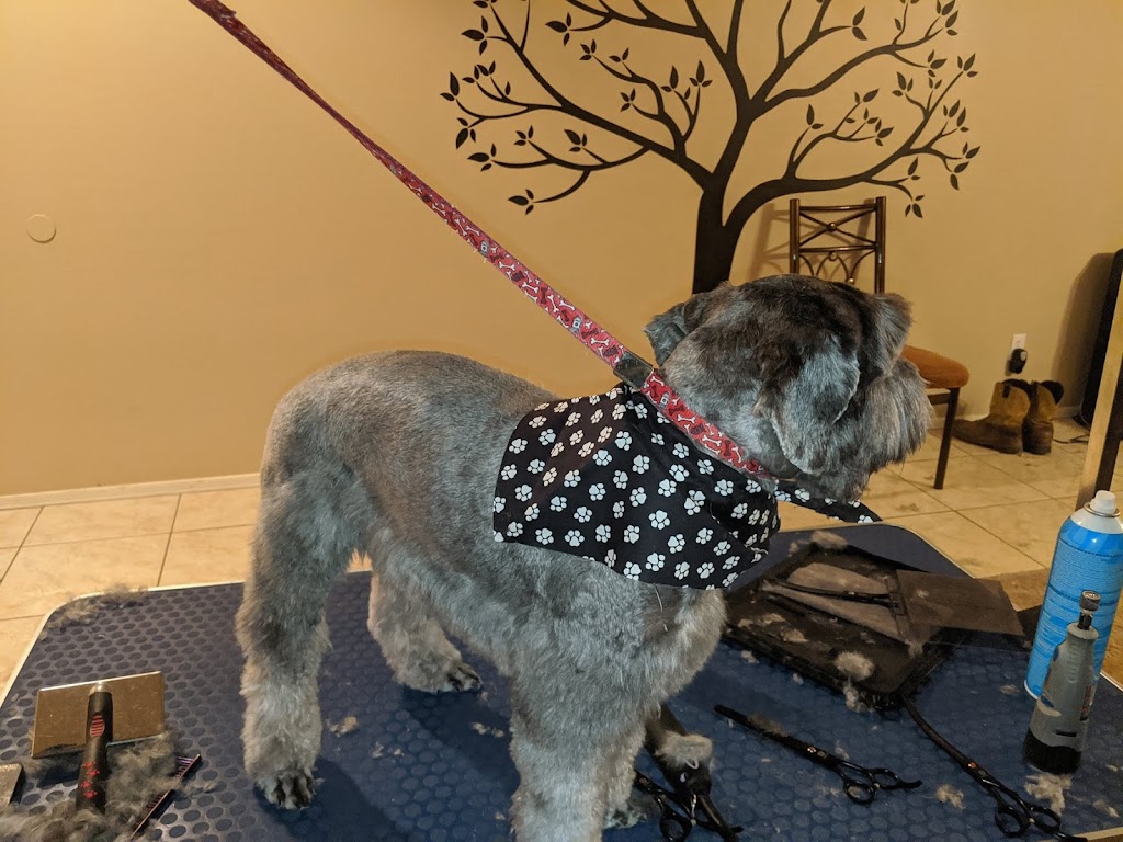 Country K-9 Grooming LLC | 240 S Main St, Coolidge, AZ 85128, USA | Phone: (480) 431-0355