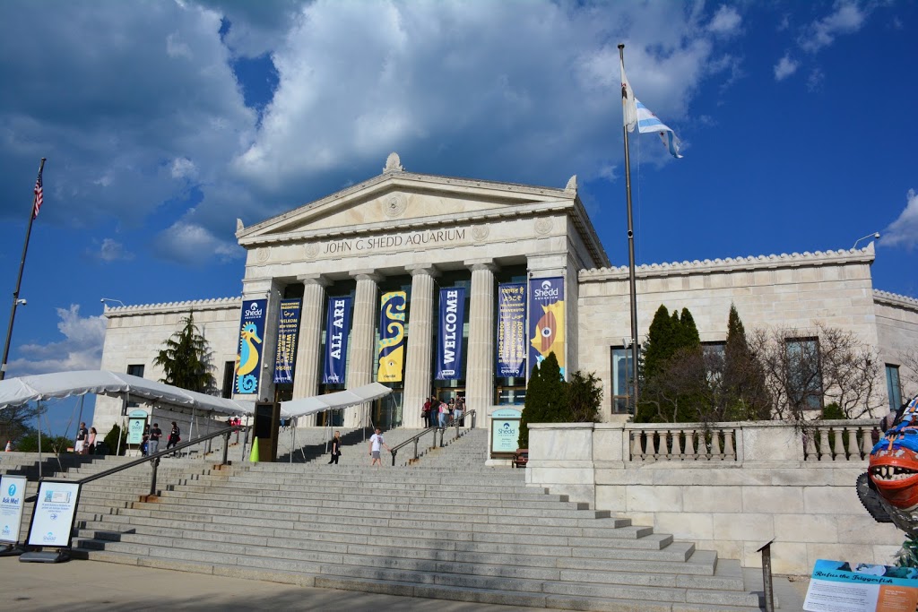 Shedd Aquarium | 1200 S Lake Shore Dr, Chicago, IL 60605, USA | Phone: (312) 939-2438