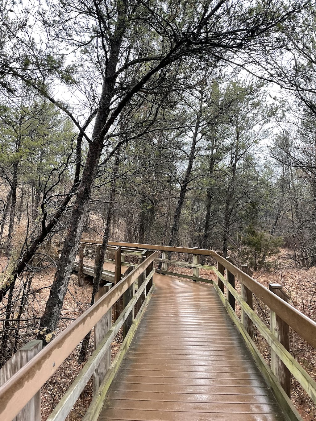 Indiana Dunes National Park West Beach Trail | W Beach Rd, Gary, IN 46403 | Phone: (219) 926-2255