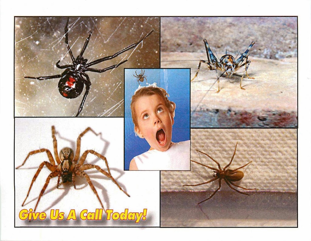 Chagrin Valley Pest Control | 8140 Mayfield Rd, Chesterland, OH 44026 | Phone: (216) 348-3379