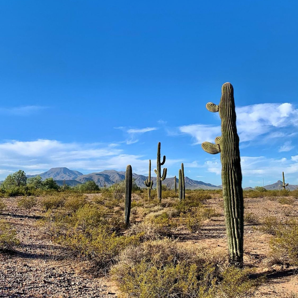 Wild West Ranch & RV Resort | 860 S John Wayne Pkwy, Maricopa, AZ 85139, USA | Phone: (520) 858-5035