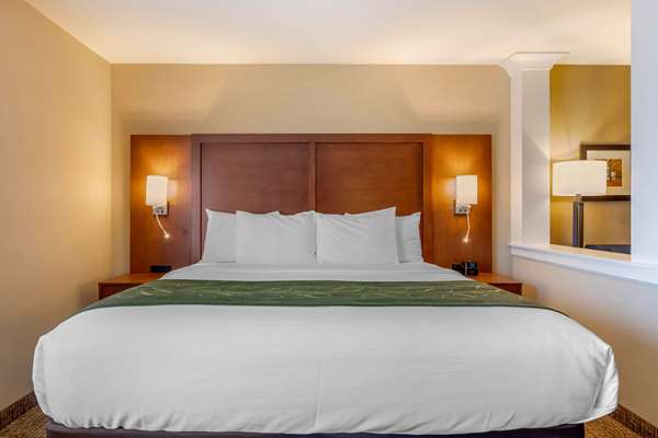 Comfort Inn & Suites Schenectady -Scotia | 168 Sacandaga Rd, Schenectady, NY 12302, USA | Phone: (518) 348-6048