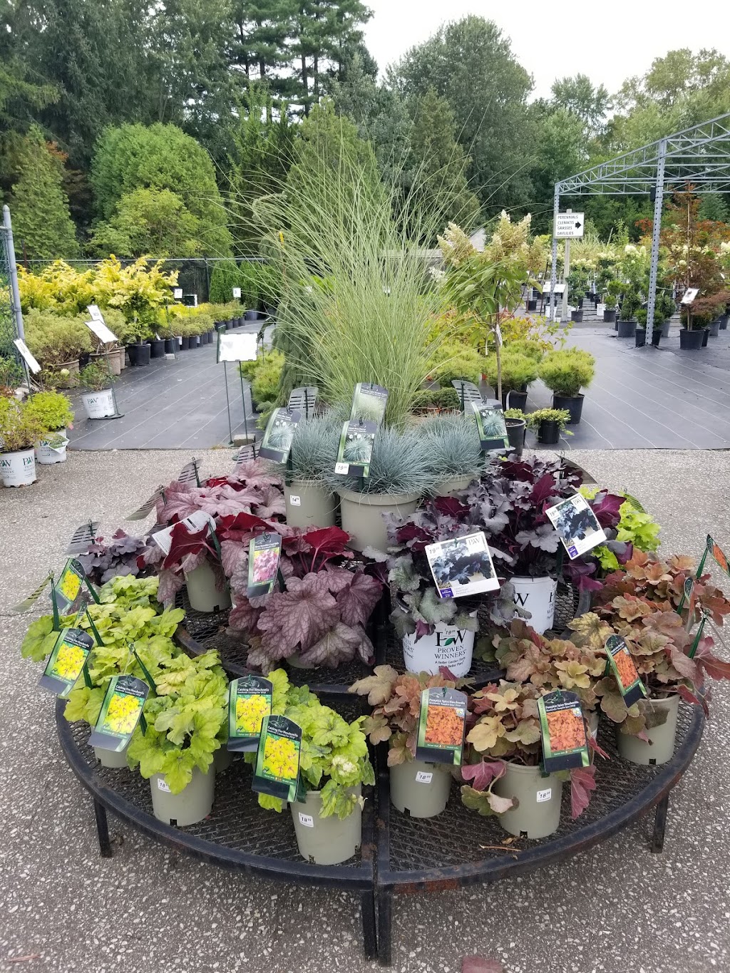 BLUE STAR NURSERY LTD. | 5056 Malden Rd, Windsor, ON N9E 3T9, Canada | Phone: (519) 966-5673