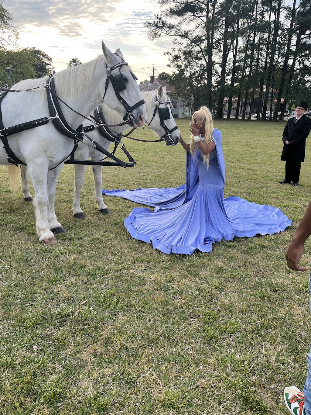 Hundley Carriages | 8300 Hopkins Rd, Richmond, VA 23237, USA | Phone: (804) 743-9233