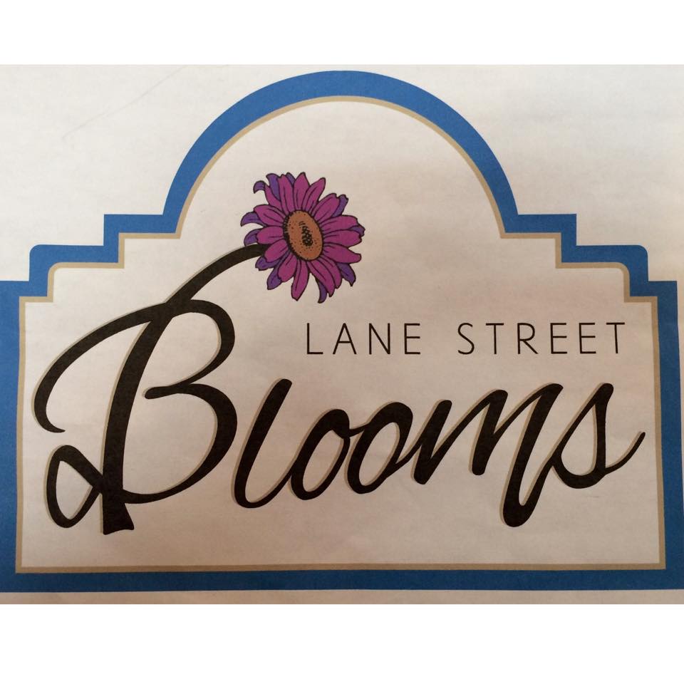 Lane Street Blooms | 131 S Lane St, Blissfield, MI 49228, USA | Phone: (517) 682-1101