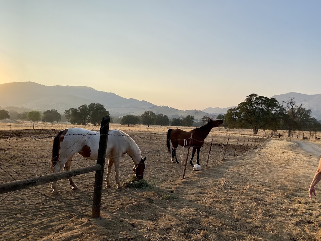 The Branded Calf B&B | 32324 Indian Guide Rd, Squaw Valley, CA 93675, USA | Phone: (559) 332-2700