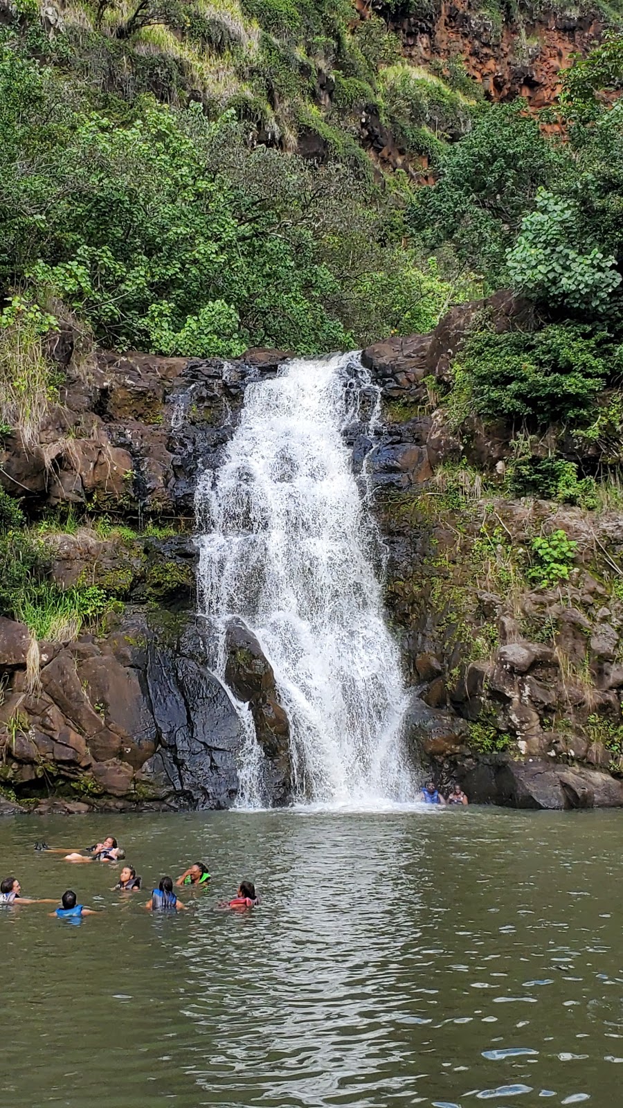 Waimea Botanical Garden | 59-864 Kamehameha Hwy, Haleiwa, HI 96712, USA | Phone: (808) 638-7766 Waimea Botanical Garden | 59-864 Kamehameha Hwy, Haleiwa, HI 96712, USA | Phone: (808) 638-7766
