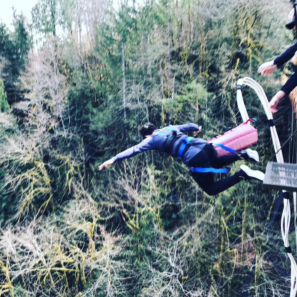 ZiplineX Zip Line Tours | 32016 NE Healy Rd, Amboy, WA 98601, USA | Phone: (503) 520-0303