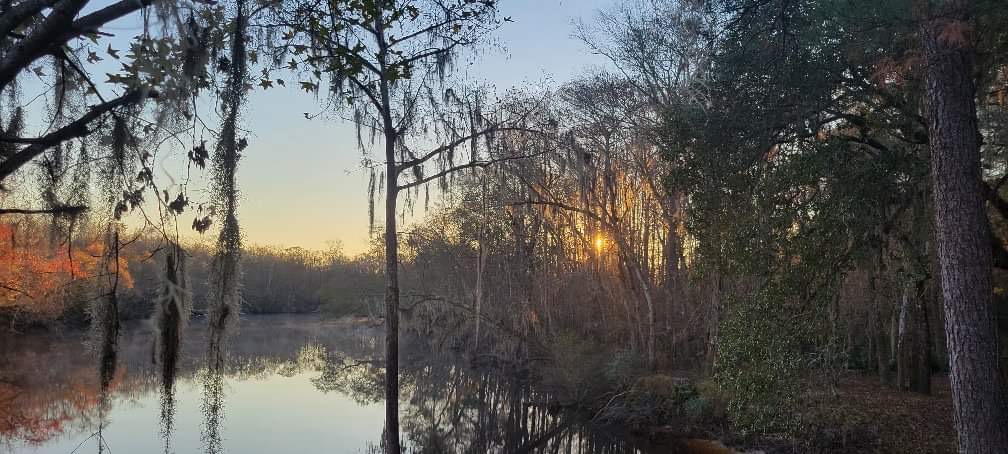 Callies On The River | 181040 Autumn Rd, Hilliard, FL 32046, USA | Phone: (904) 335-6250