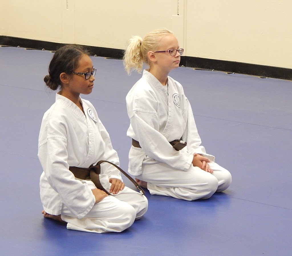 Ellis County Martial Arts | 811 Ferris Ave, Waxahachie, TX 75165, USA | Phone: (214) 315-4727