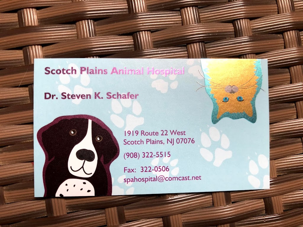 Scotch Plains Animal Hospital | 1919 US-22 W, Scotch Plains, NJ 07076, USA | Phone: (908) 322-5515