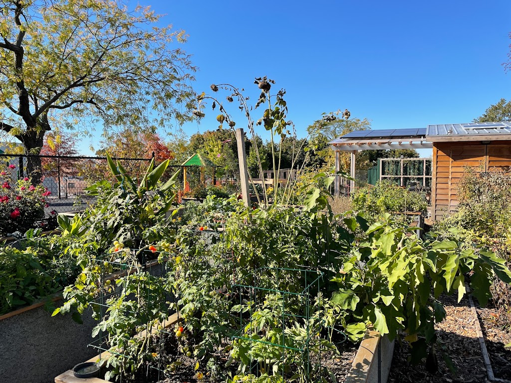 Aberdeen Street Community Garden | 98 Aberdeen St, Brooklyn, NY 11207, USA | Phone: (212) 333-2552