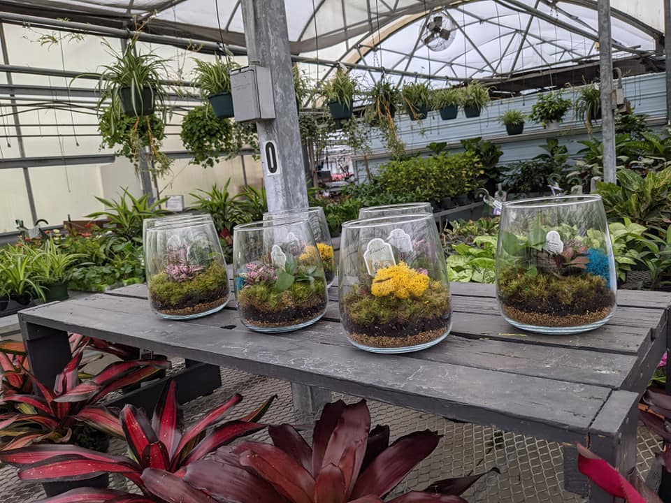 Grant Line Garden Center & Nursery | 2223 Grant Line Rd, New Albany, IN 47150, USA | Phone: (812) 945-5676