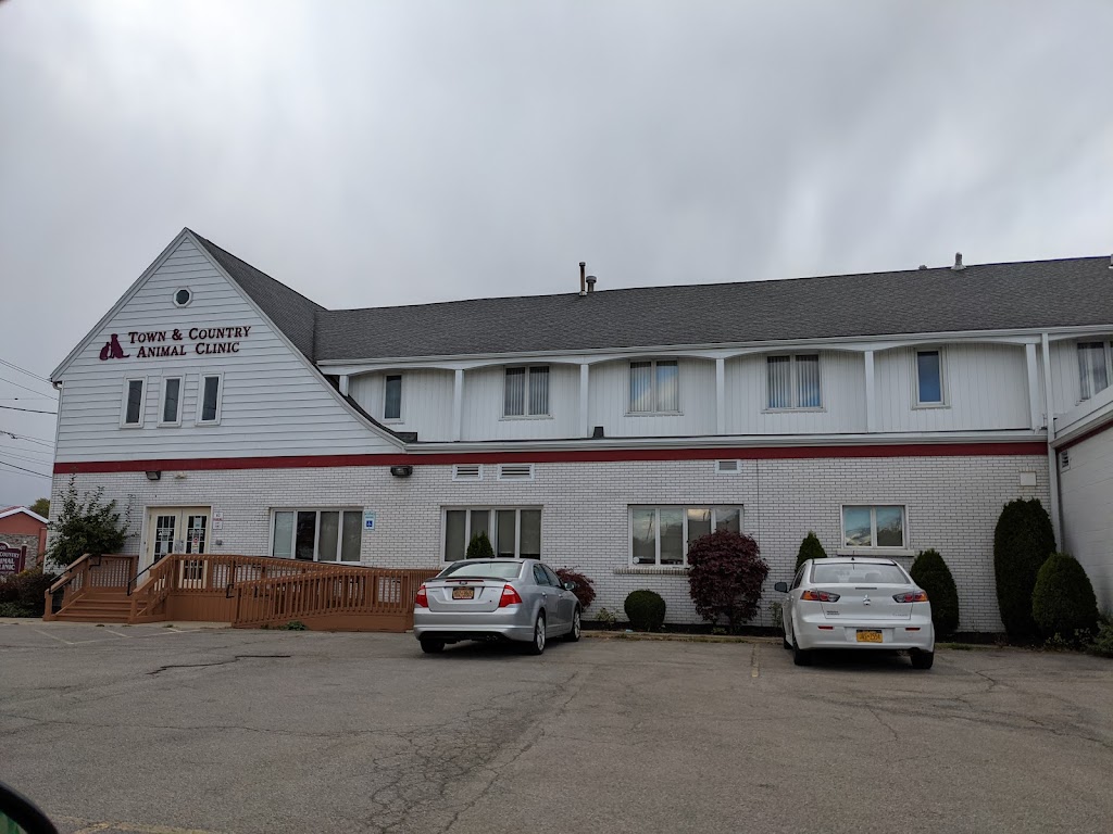 Town & Country Animal Clinic | 3000 Genesee St, Buffalo, NY 14225, USA | Phone: (716) 896-2424
