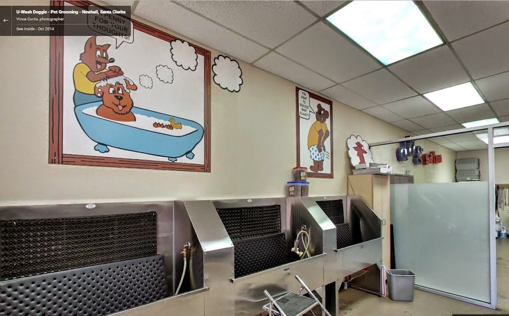 U Wash Doggie | 24144 Lyons Ave, Newhall, CA 91321, USA | Phone: (661) 284-3600