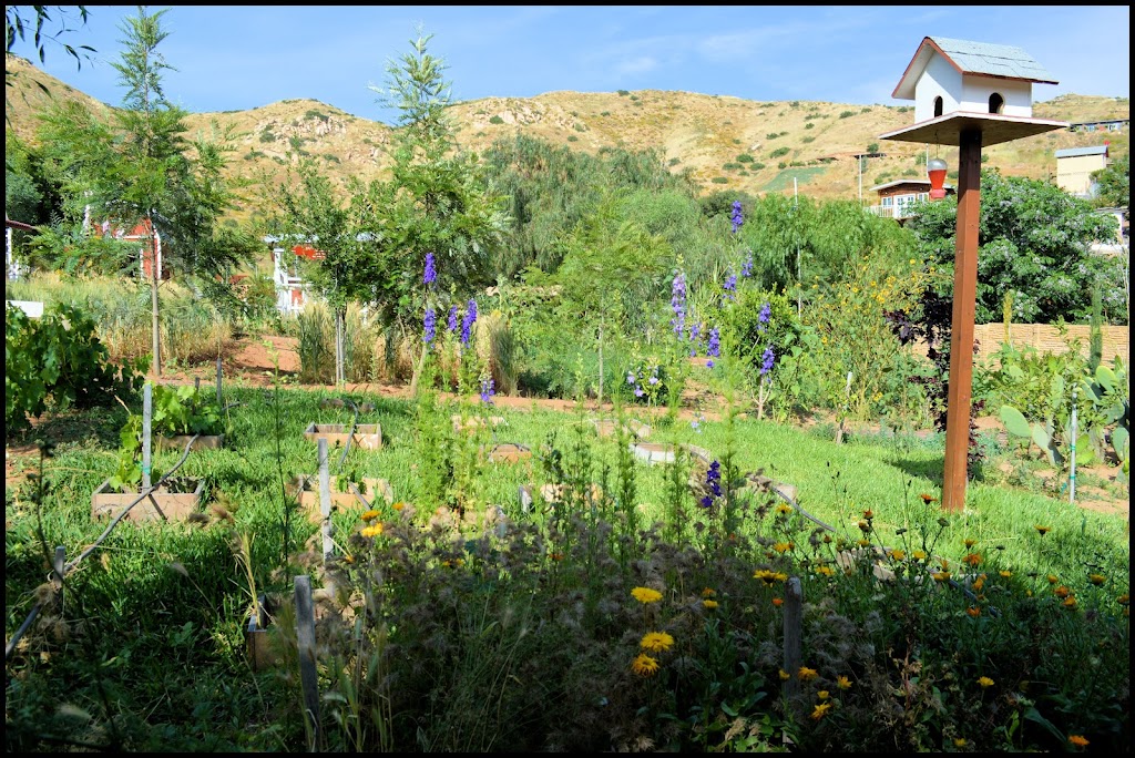 Rancho La Divina Misericordia | Unnamed Road, 21503 B.C., Mexico | Phone: 665 655 9325