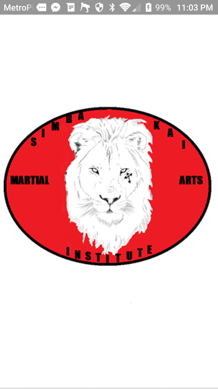 Simba Kai Martial Arts, Institute | 875 Kennedy Blvd #5789, Brooksville, FL 34601, USA | Phone: (352) 321-9804