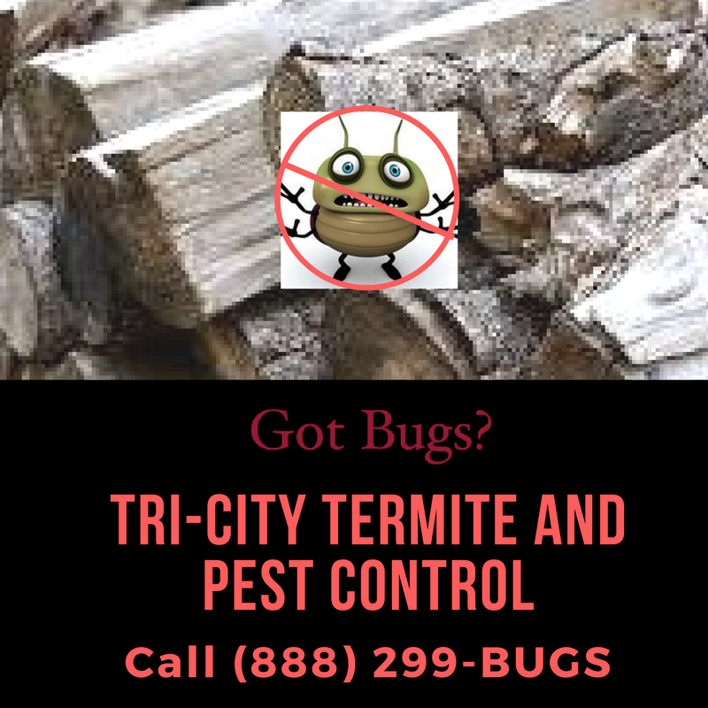 Tri-City Termite and Pest Control | 141 Sharp Ave, London, OH 43140, USA | Phone: (614) 332-4840