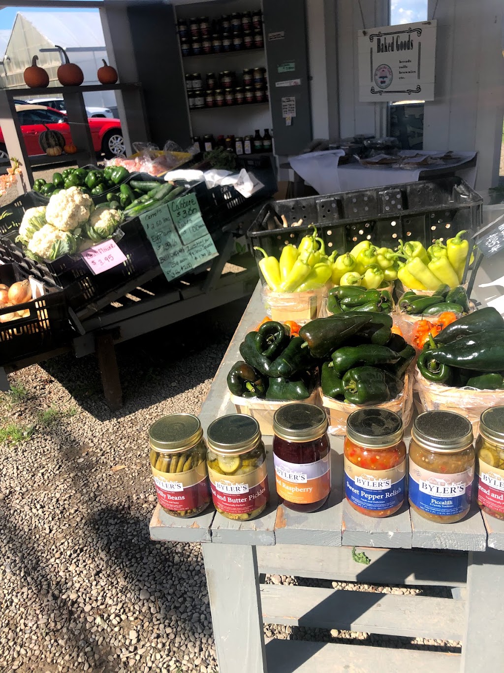 Yerico Farms LLC | 3186 E Main St, Dunkirk, NY 14048, USA | Phone: (716) 673-1271
