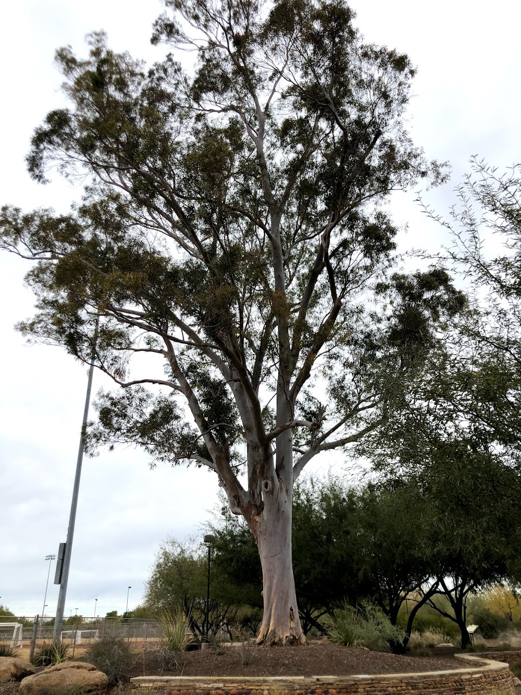 Scottsdale Xeriscape Garden | 5401 N Hayden Rd, Scottsdale, AZ 85250, USA | Phone: (480) 312-3111