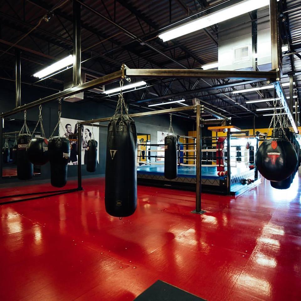 Lights Out Boxing & Fitness | 1704 Bruce B Downs Blvd, Wesley Chapel, FL 33544, USA | Phone: (813) 501-4932