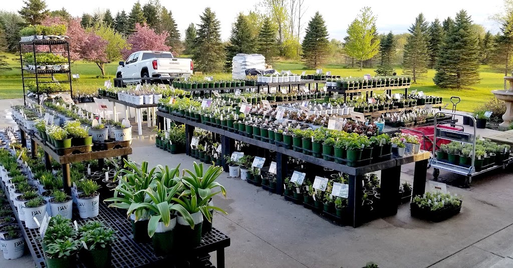 Backyard Blooms Nursery LLC | 1300 88th Ave, Kenosha, WI 53144, USA | Phone: (262) 237-8446