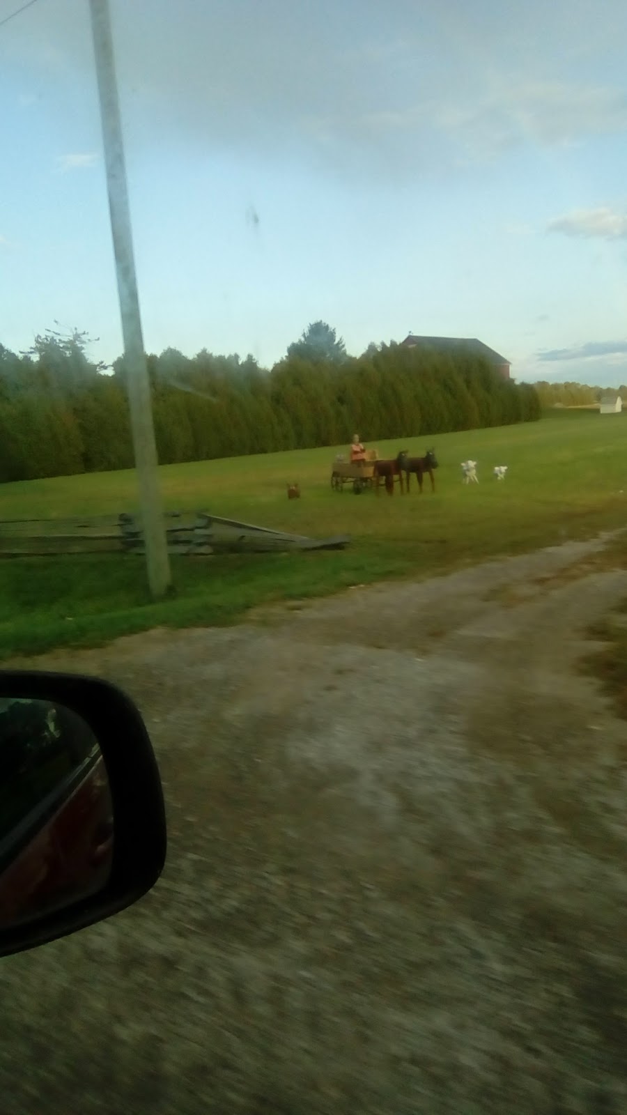 Duck Creek Park | 131 Duck Creek Blvd, Belle River, ON N0R 1A0, Canada | Phone: (519) 728-2700