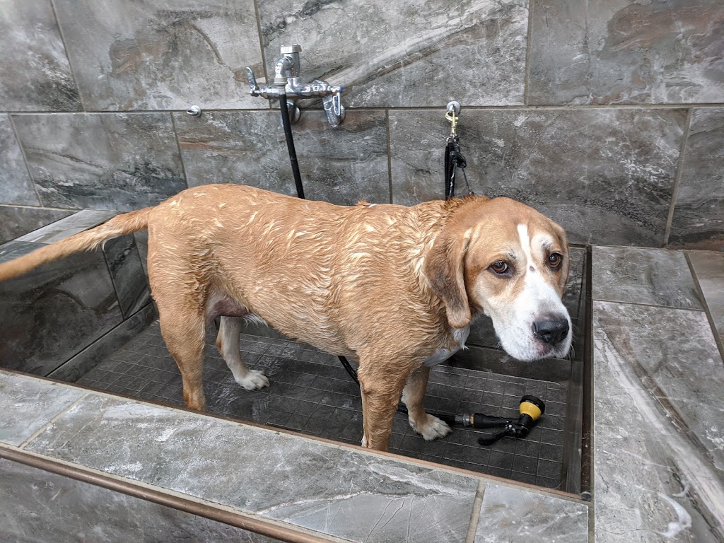 Pet Supermarket | 7067 Collins Rd, Jacksonville, FL 32244, USA | Phone: (904) 855-2930 Pet Supermarket | 7067 Collins Rd, Jacksonville, FL 32244, USA | Phone: (904) 855-2930