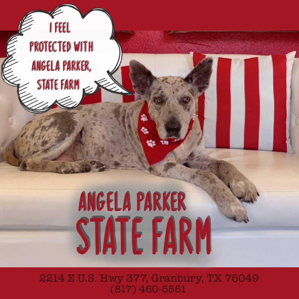 Angela Parker - State Farm Insurance Agent | 2100 East US Hwy 377, Granbury, TX 76049, USA | Phone: (817) 460-5551