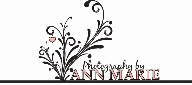 Photography by Ann Marie | 141 Gainsway Dr, Nicholasville, KY 40356, USA | Phone: (859) 983-5501