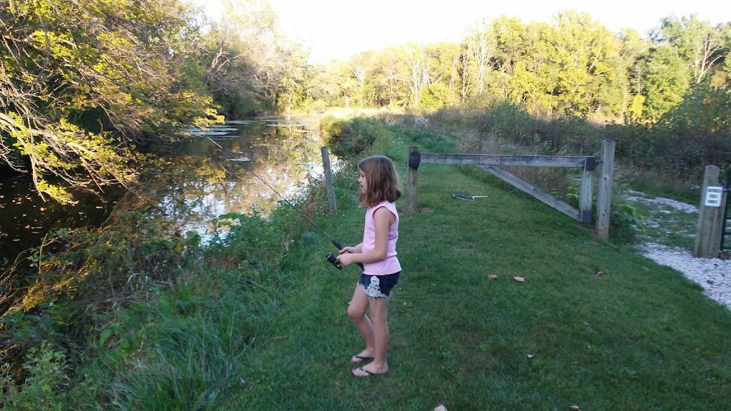 Benton Dam ‒ River Preserve County Park | 68552 Co Rd 31, New Paris, IN 46553, USA | Phone: (574) 535-6458