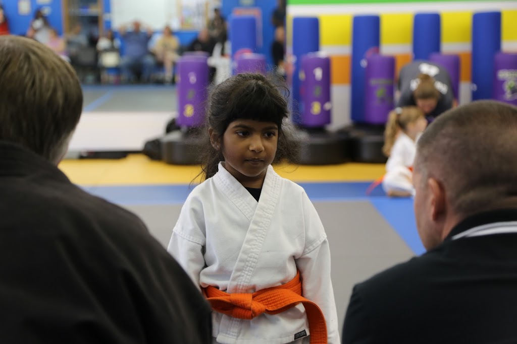 Twinsburg Karate Institute (TKI) | 2272 Pinnacle Pkwy, Twinsburg, OH 44087, USA | Phone: (330) 963-3069