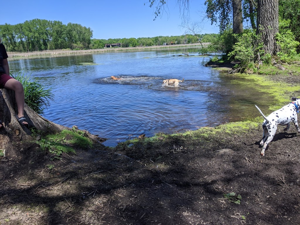 Warner Park Dog Park | 2301 Sheridan Dr, Madison, WI 53704, USA | Phone: (608) 266-4711