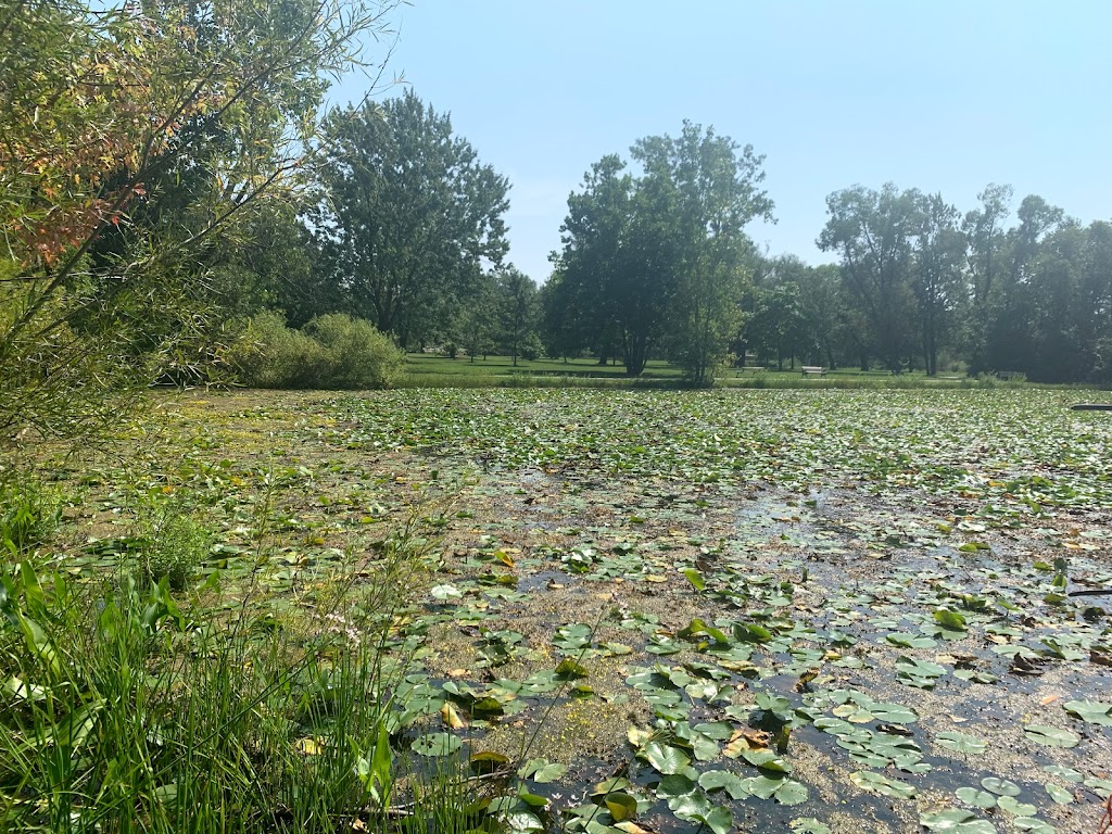 Sadlers Pond Nature Park | 182 Forest Ave, Essex, ON N8M 2G6, Canada | Phone: (519) 776-7336