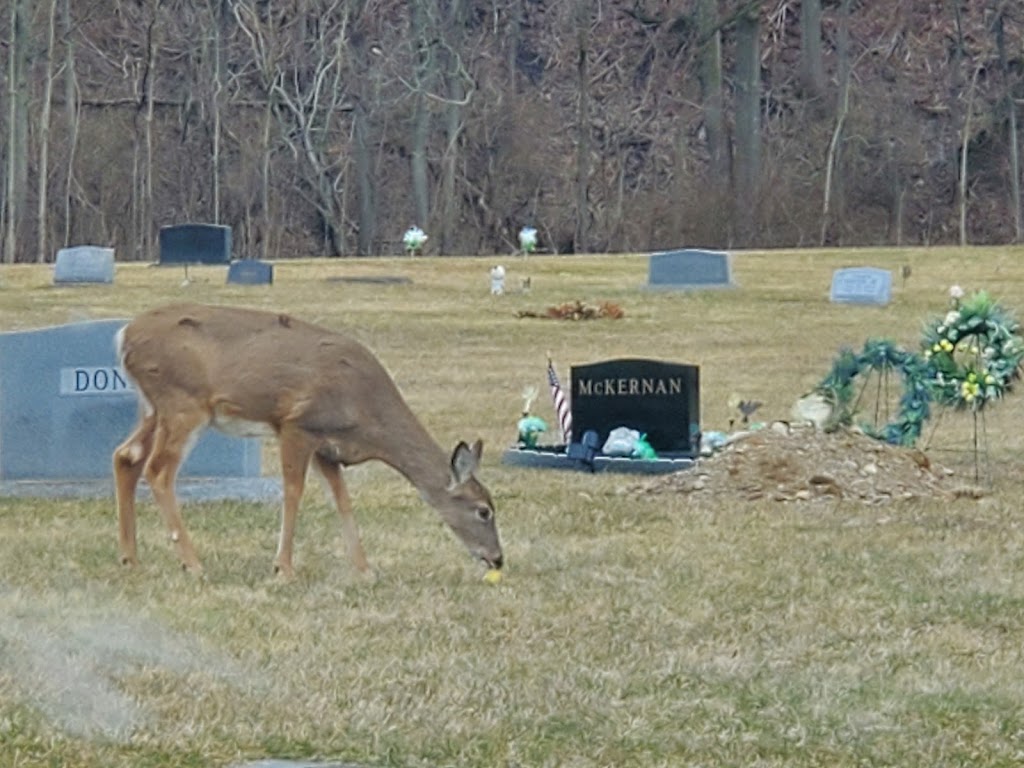 Massillon Cemetery | Massillon, OH 44646, USA | Phone: (330) 833-3214