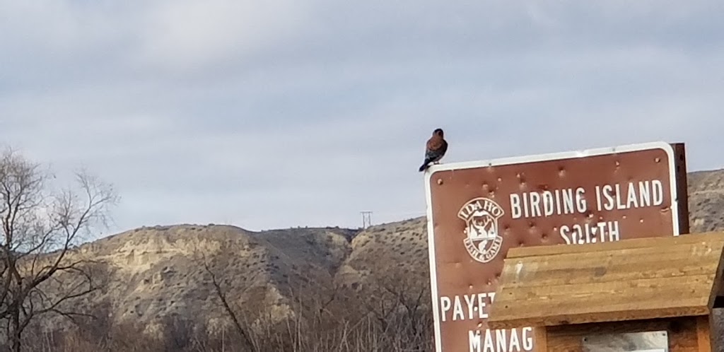 Payette River Wildlife Management Area | 4660 NW 2nd Ave, New Plymouth, ID 83655, USA | Phone: (208) 465-8465