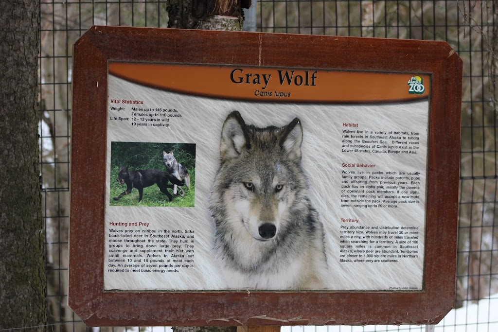 Wolf Exhibit | Anchorage, AK 99507 | Phone: (907) 346-2133