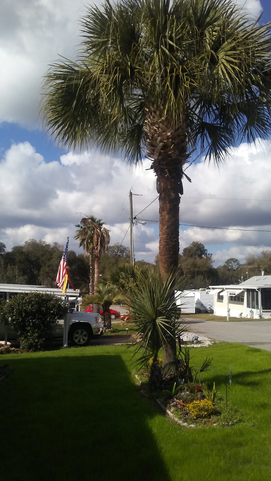 Seven Acres RV Park & Sales | 16731 US-301, Dade City, FL 33523, USA | Phone: (352) 567-3510